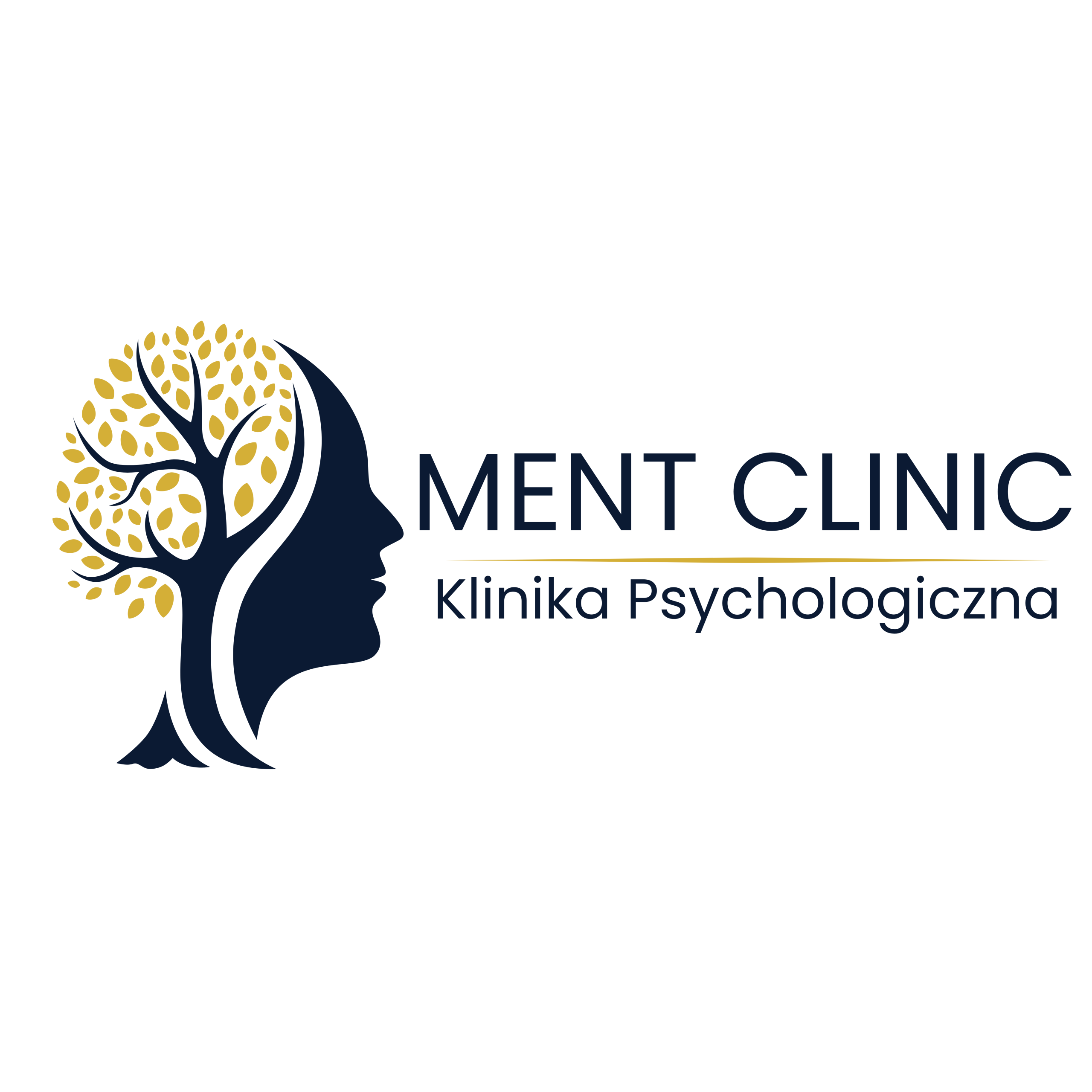 MENT – Klinika Psychologiczna